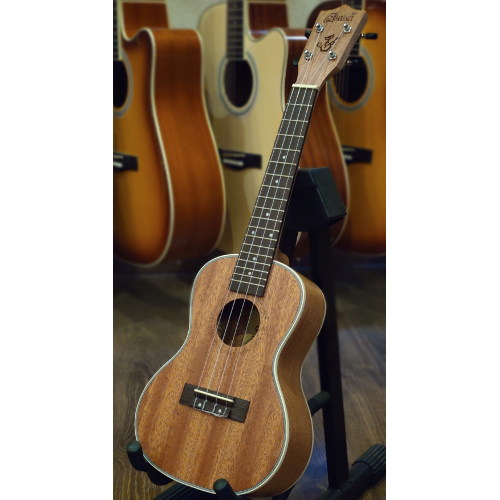 Alida C100 Concert Ukulele